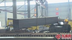 估计可实现年产贝雷片12
