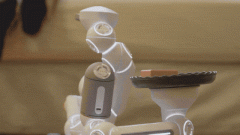 <b>供个性化的陪同体验</b>